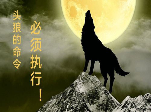 《打造狼性团队》课程介绍